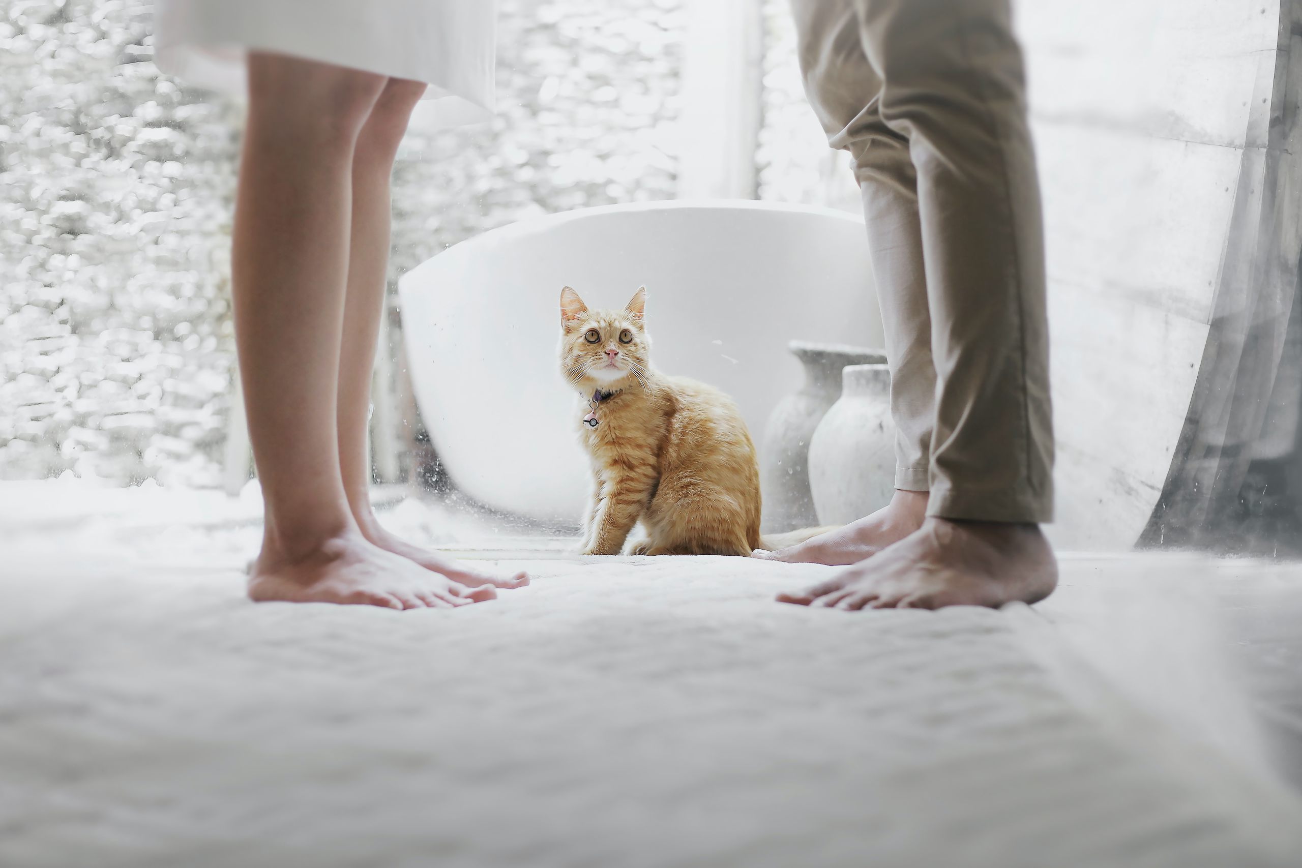 Katze auf Badezimmerboden zwischen den Beinen einer Frau und eines Mannes